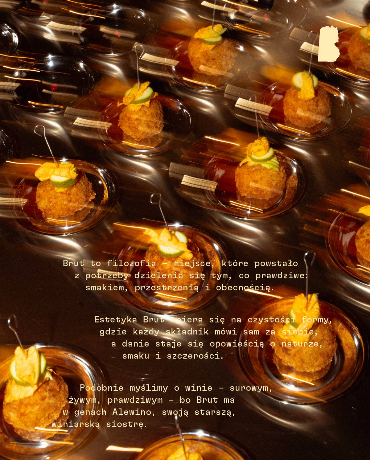 Brut_dokumentacja_www_Projekt_ dokumentacj_ www_ 6.jpg