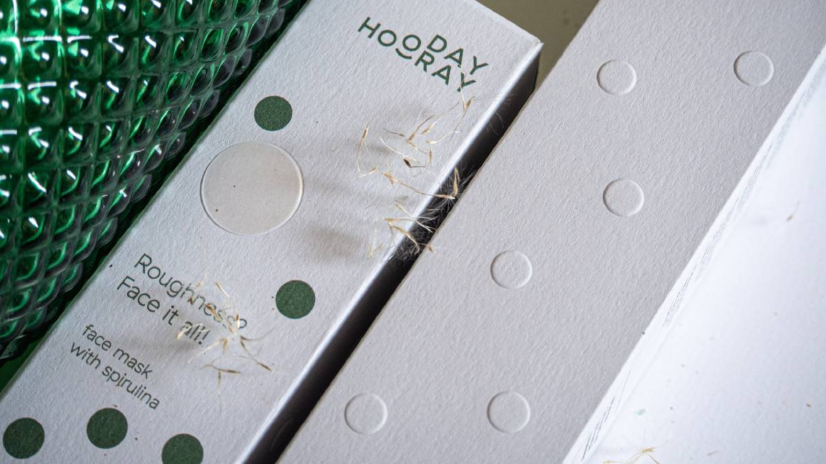 Day_hooray_ 8-01.jpg